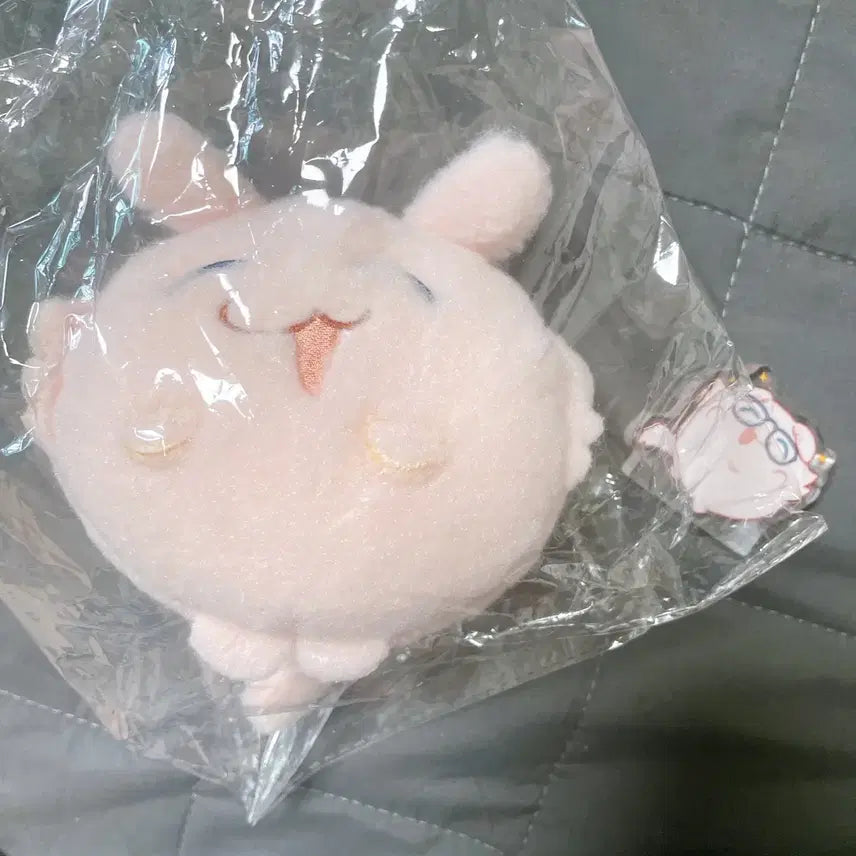 [BUNJANG] BanG Dream! MyGO!!!!! Anon Doll + Corotto Set / 뱅드림 마이고 GGnn님 아논 인형+코롯토