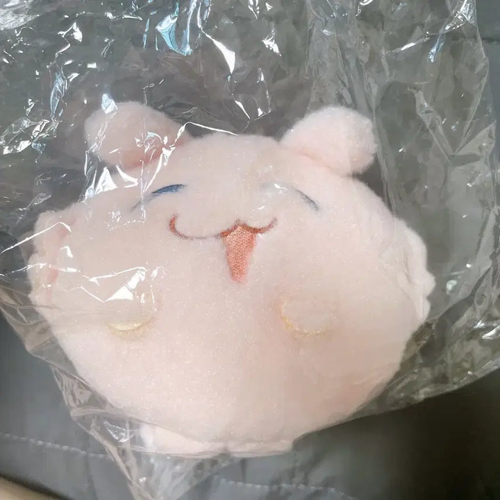 [BUNJANG] BanG Dream! MyGO!!!!! Anon Doll + Corotto Set / 뱅드림 마이고 GGnn님 아논 인형+코롯토