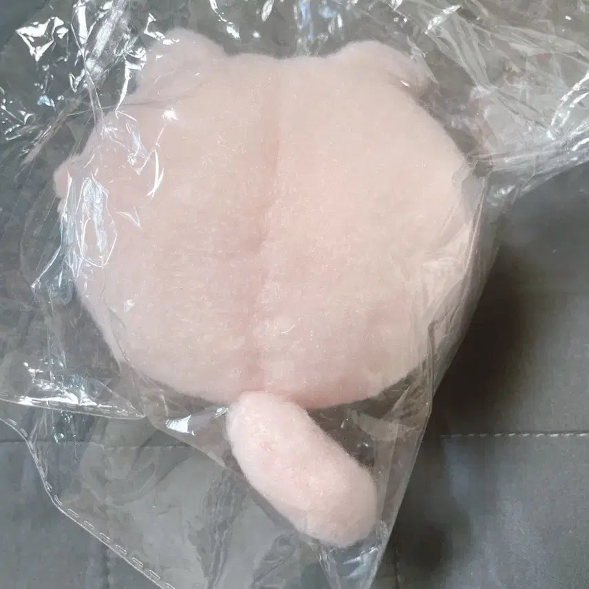 [BUNJANG] BanG Dream! MyGO!!!!! Anon Doll + Corotto Set / 뱅드림 마이고 GGnn님 아논 인형+코롯토