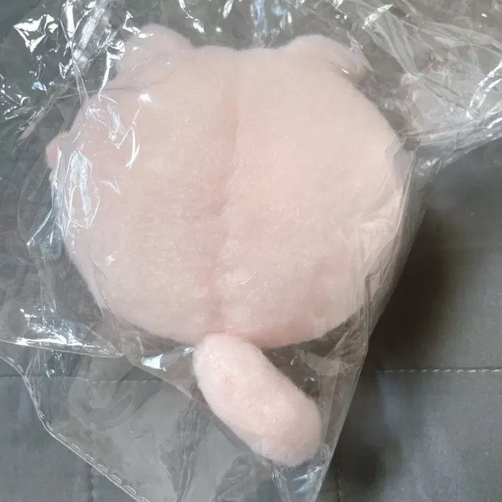 [BUNJANG] BanG Dream! MyGO!!!!! Anon Doll + Corotto Set / 뱅드림 마이고 GGnn님 아논 인형+코롯토