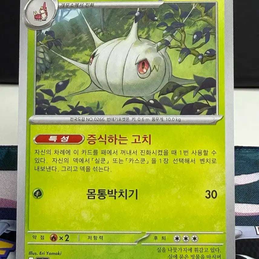 [BUNJANG] Silcoon Trading Card A-Grade / 실쿤 일반 카드 A급 [300원]