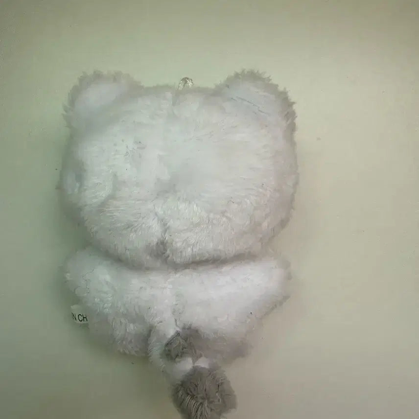 [BUNJANG] Unknown Item / 호찌