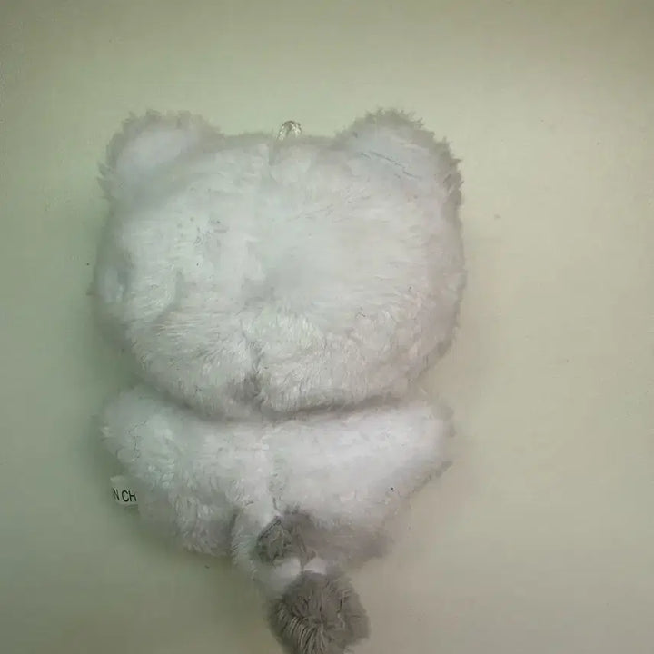 [BUNJANG] Unknown Item / 호찌