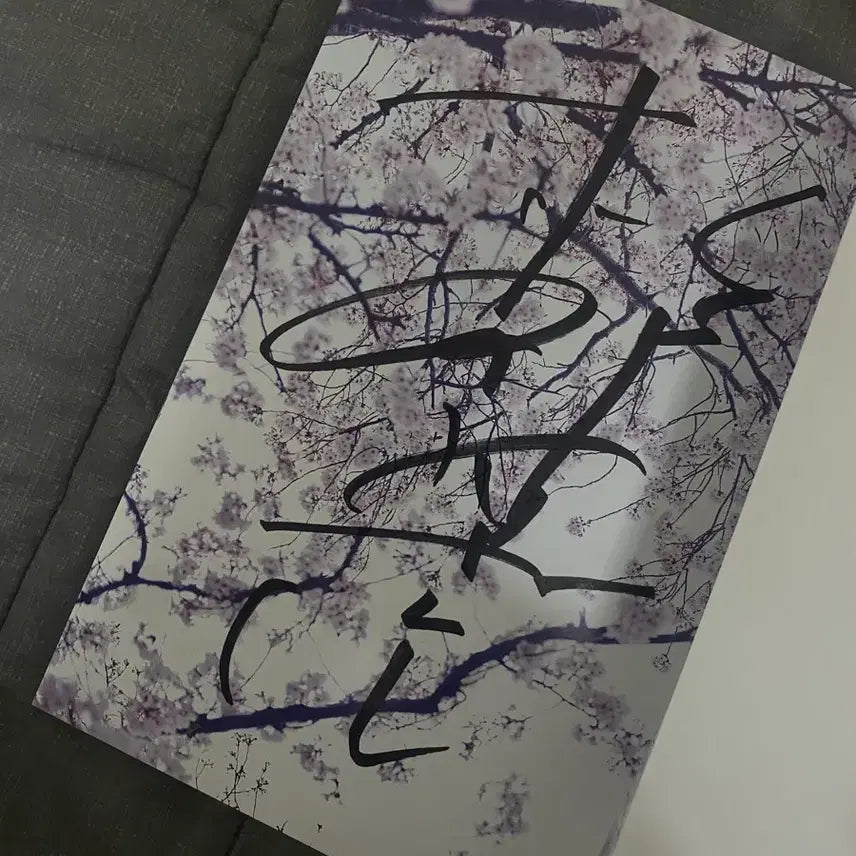 [BUNJANG] Yosuke Sugino Signed Photobook / 일본배우 스기노 요스케 친필 싸인 사진집
