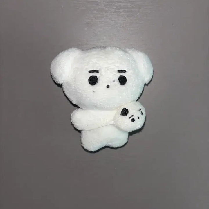 [BUNJANG] ENHYPEN Sunghoon Hun-Daeng Doll / 엔하이픈 성훈 인형 훈댕이 양도 가방까지 있음