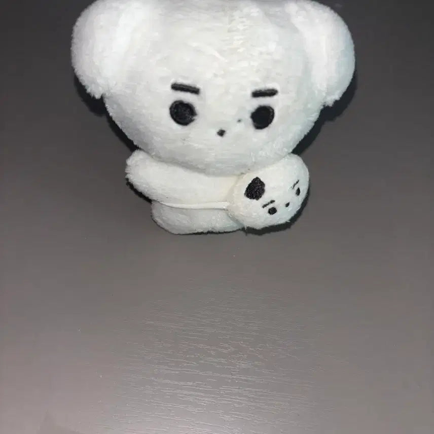 [BUNJANG] ENHYPEN Sunghoon Hun-Daeng Doll / 엔하이픈 성훈 인형 훈댕이 양도 가방까지 있음