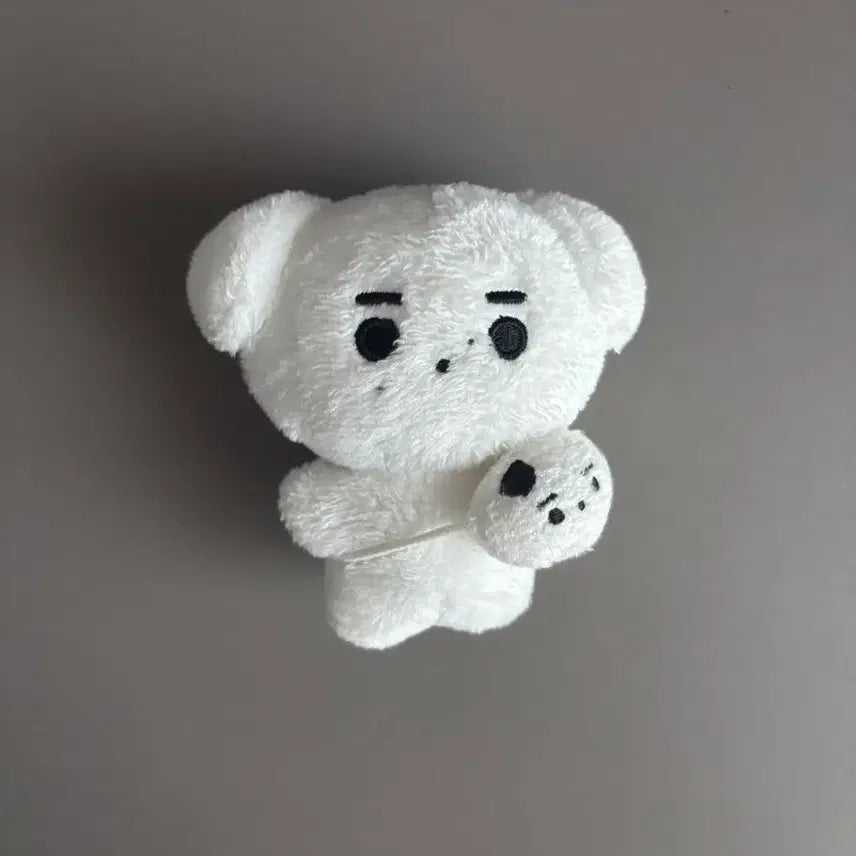 [BUNJANG] ENHYPEN Sunghoon Hun-Daeng Doll / 엔하이픈 성훈 인형 훈댕이 양도 가방까지 있음