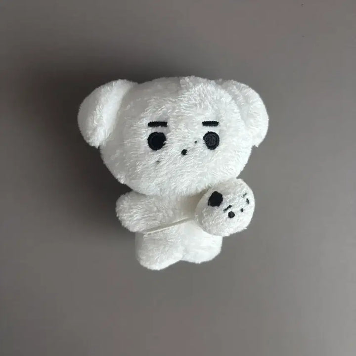[BUNJANG] ENHYPEN Sunghoon Hun-Daeng Doll / 엔하이픈 성훈 인형 훈댕이 양도 가방까지 있음