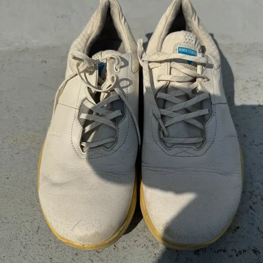 [BUNJANG] ECCO GORE-TEX Golf Shoes 270 / 에코 ECCO 고어텍스 270 골프 GORE-TEX