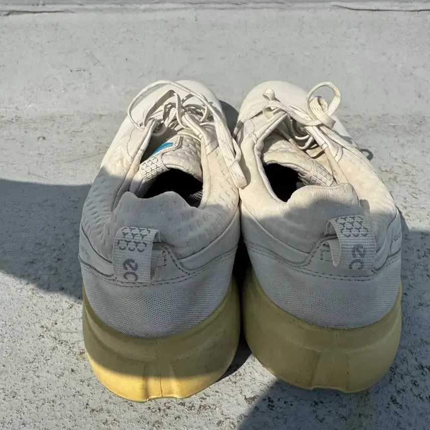 [BUNJANG] ECCO GORE-TEX Golf Shoes 270 / 에코 ECCO 고어텍스 270 골프 GORE-TEX