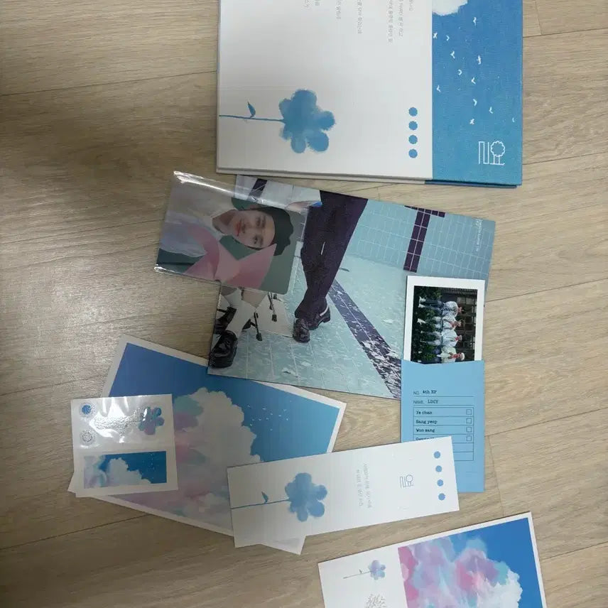 [SOLD OUT] 루시 열 상엽포카