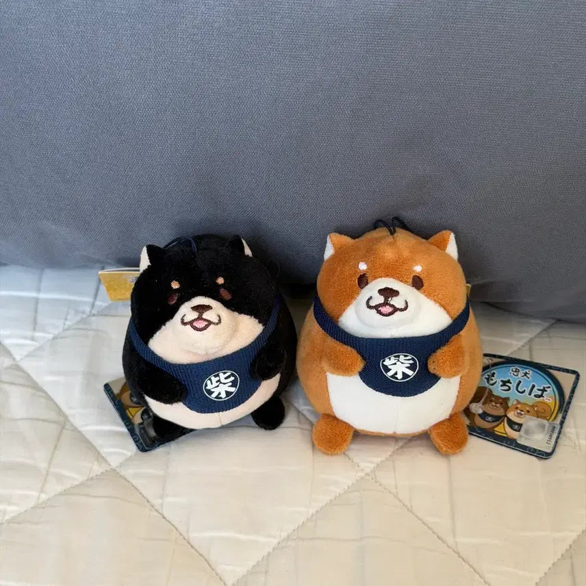 [BUNJANG] Shiba Inu Keychain Set / 시바 키링 2종