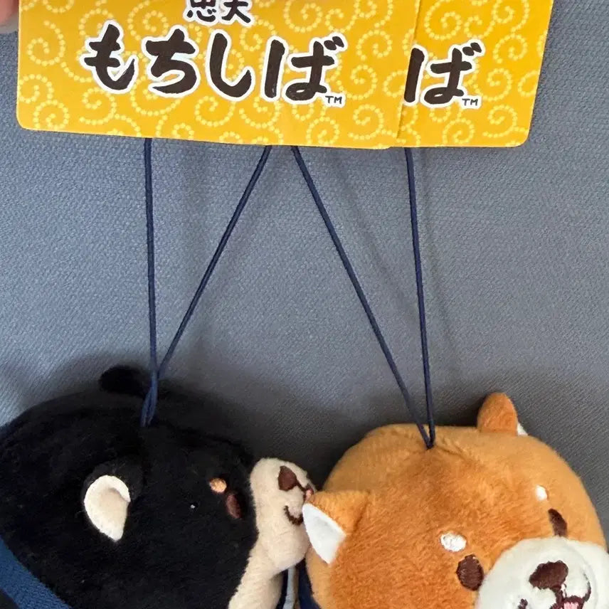 [BUNJANG] Shiba Inu Keychain Set / 시바 키링 2종