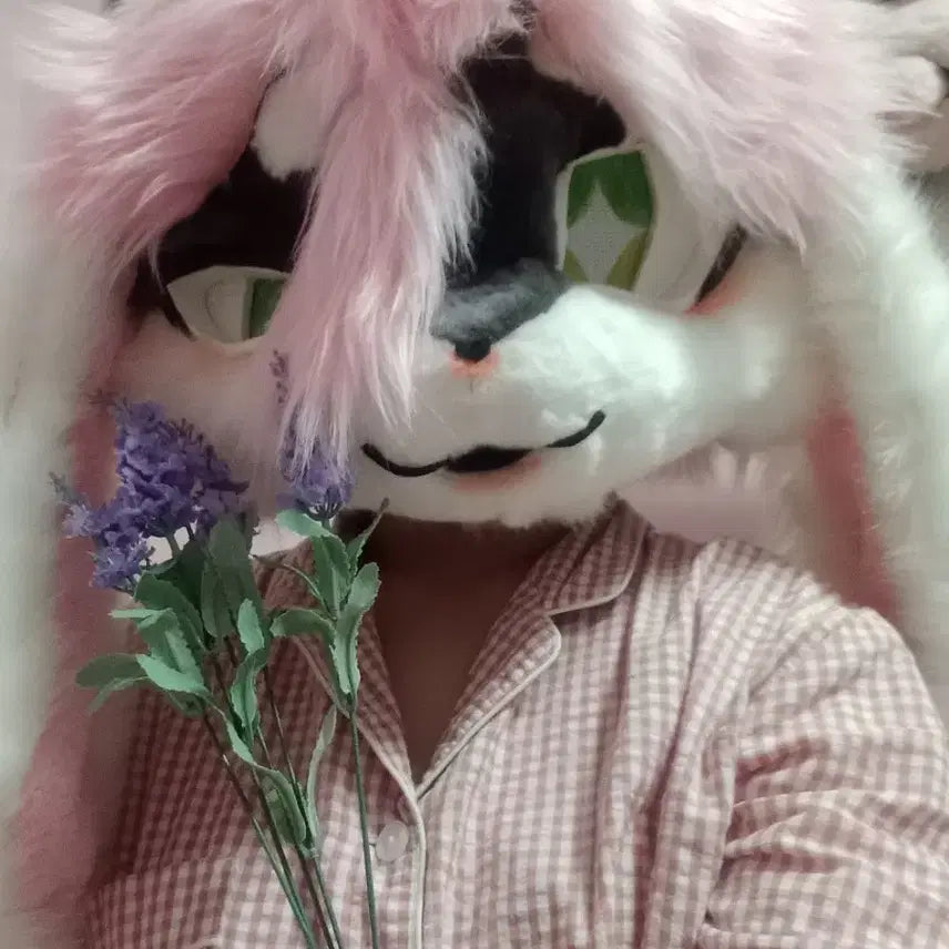 [BUNJANG] D.Luna Gray Furry Mascot Costume / 디루나(퍼슈트)
