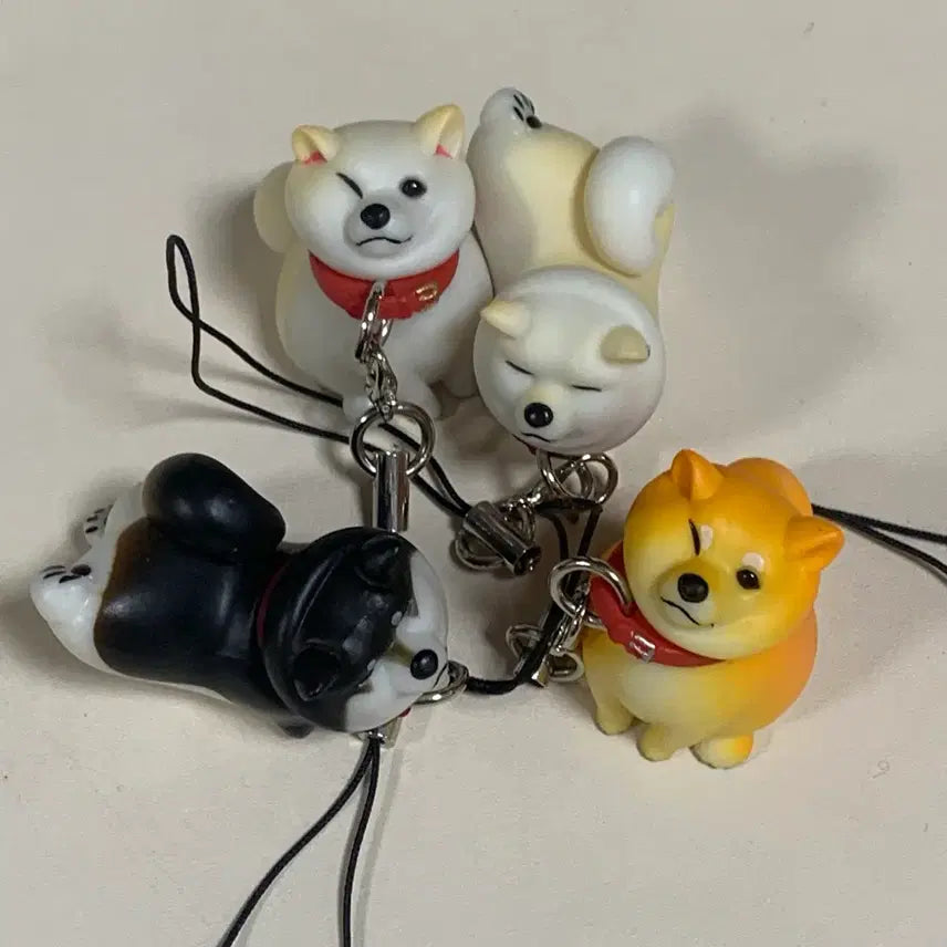 [BUNJANG] Shiba Inu Keychain Gacha / 산책 거부 시바견 키링 가챠