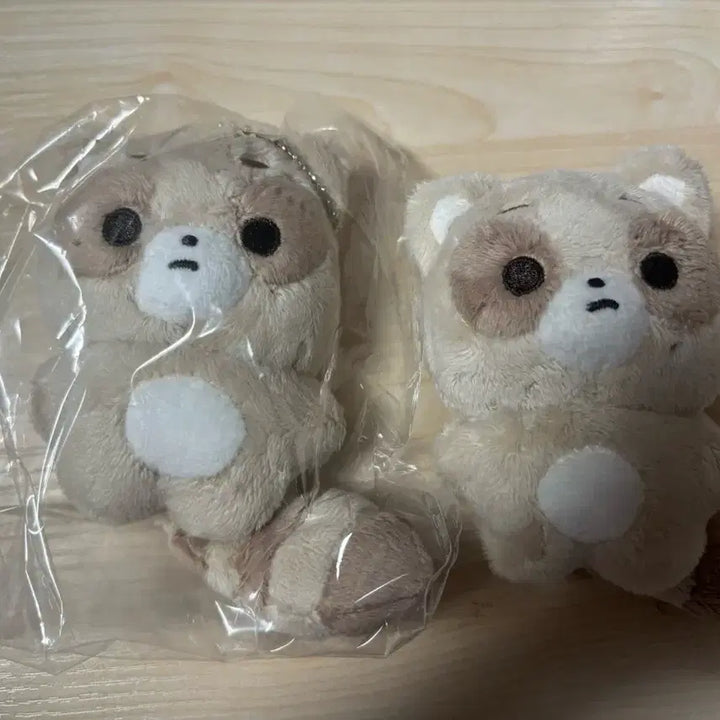 [BUNJANG] ZB1 Zhang Hao Jjangburi Doll / 제베원 장하오 인형 짱부리 양도합니다
