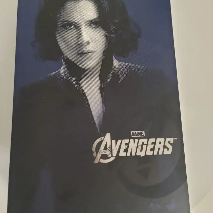[BUNJANG] Hot Toys Black Widow Avengers Figure / 마블 어벤져스 블랙위도우 핫토이 피규어