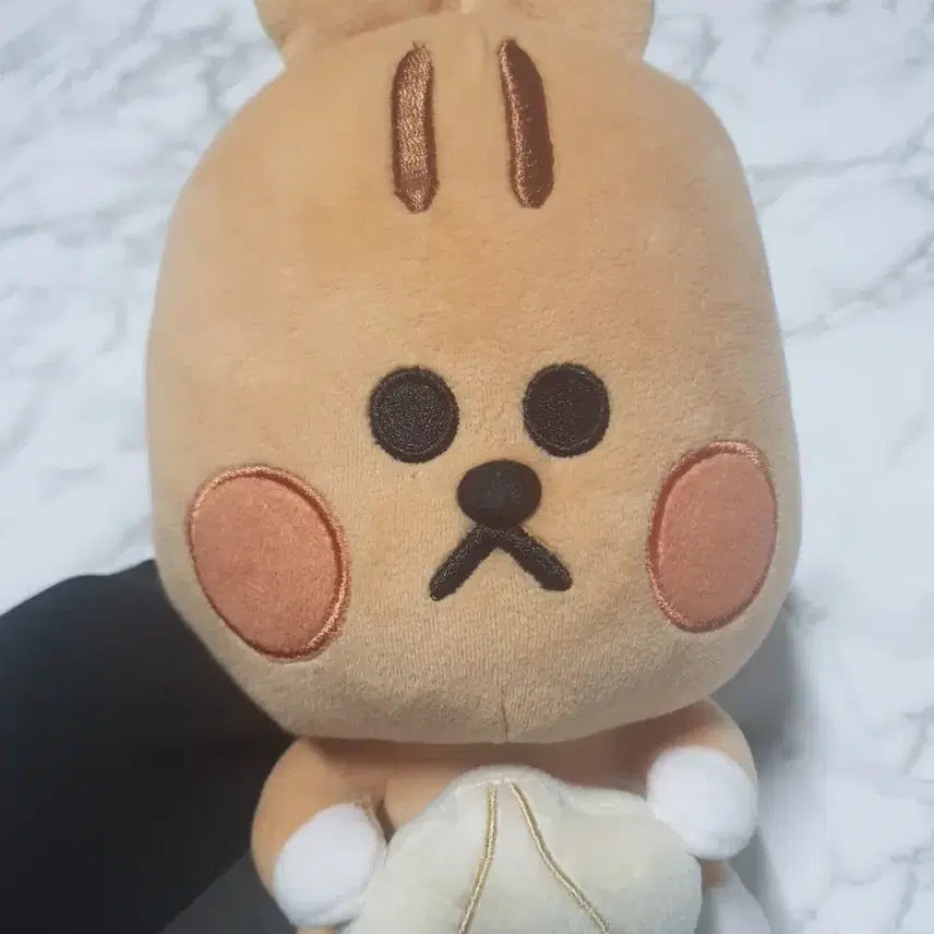 [BUNJANG] BT21 Shooky Squirrel Plush Doll / 다람쥐 캐릭터  인형25cm