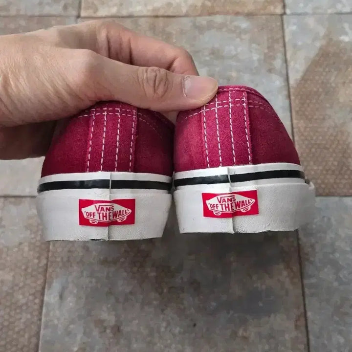 [BUNJANG] Vans Authentic Burgundy Sneakers / (230)반스 어센틱  레드 버건디 스니커즈