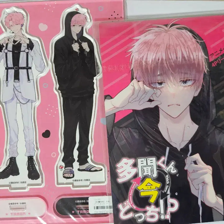 [BUNJANG] Tamon-kun, Now! Animate Limited Edition Acrylic Stand / 타몬군 지금 어느 쪽 아크릴스탠드 애니메이트 한정판