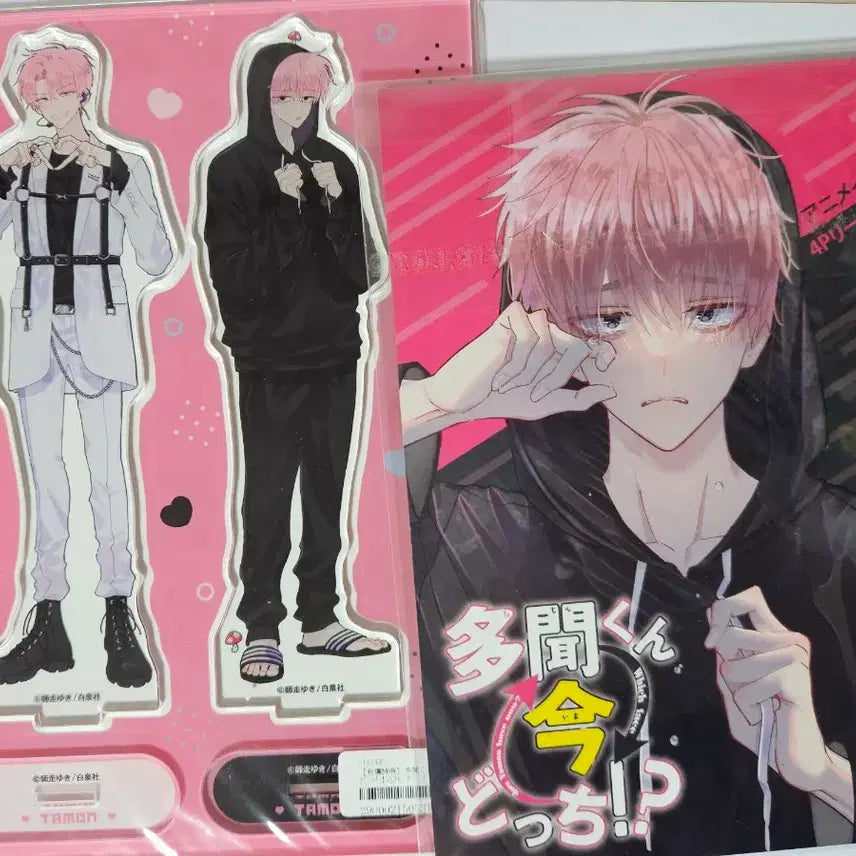 [BUNJANG] Tamon-kun, Now! Animate Limited Edition Acrylic Stand / 타몬군 지금 어느 쪽 아크릴스탠드 애니메이트 한정판