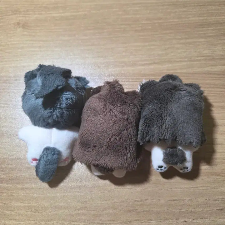 [SOLD OUT] 화산귀환 미니청묭,공당 5깅 판매