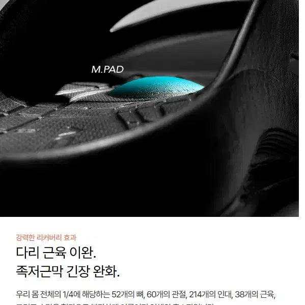 [SOLD OUT] 260mm 액트플러스 족저근막 기능성 아치 슬리퍼