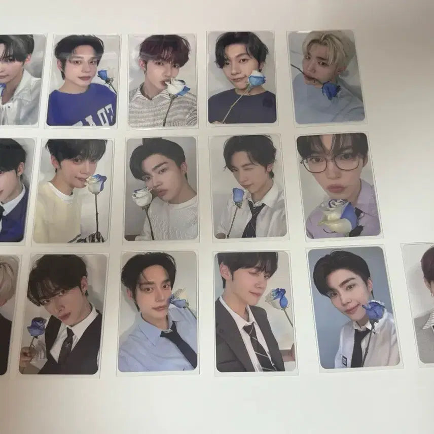 [BUNJANG] ZB1 ZEROSE 3rd Gen Photocard / 제베원 제로즈 3기 포카 팔아요