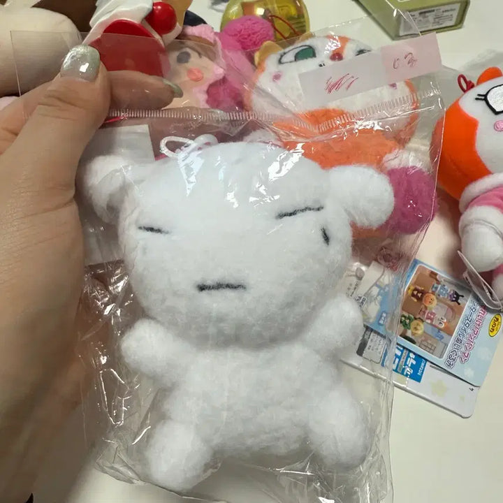 [SOLD OUT] 콩알눈 흰둥이