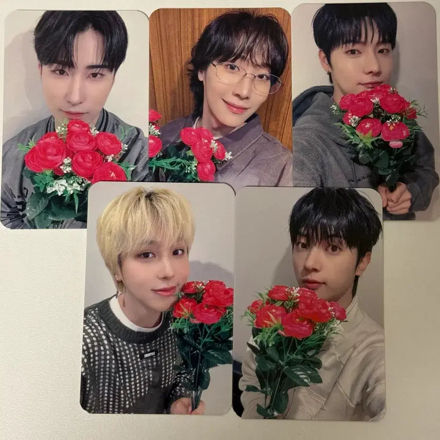 [BUNJANG] ONEWE Soundwave 2nd Face-to-face POB Photocard / 원위 사운드웨이브 사웨 2차 대면 미공포 양도