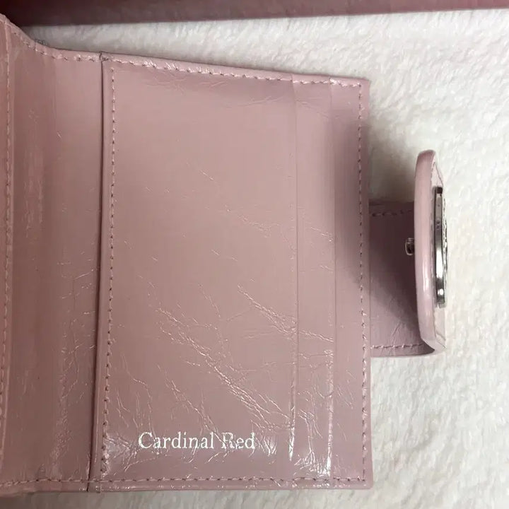 [BUNJANG] Cardinal Red Mute Pink Card Wallet / 카디널레드 월렛 뮤트핑크 카드지갑