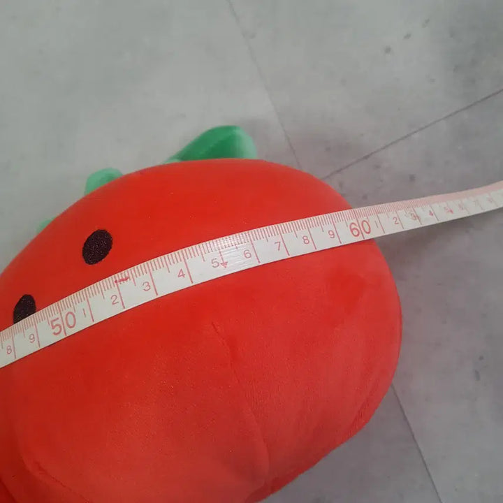 [BUNJANG] 055 Tomato Doll Mascot Figure / 인형 055 방울 토마토  인형 캐릭터 장난감 피규어 마스코트