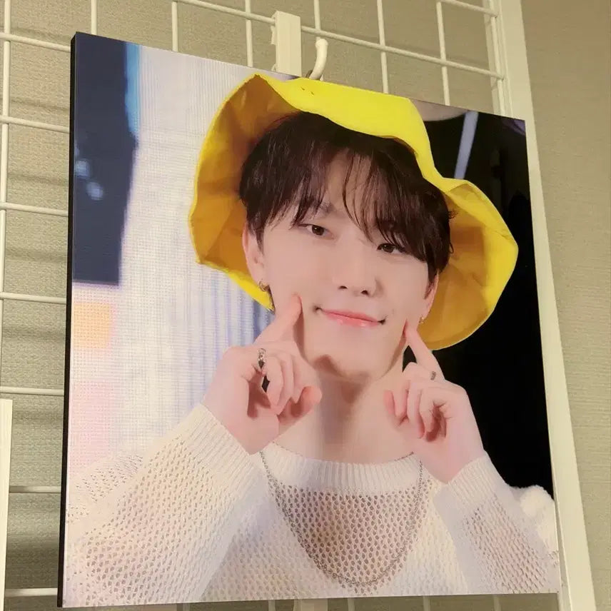 [BUNJANG] Seventeen Dino Acrylic Frame / 세븐틴 디노 아크릴 액자