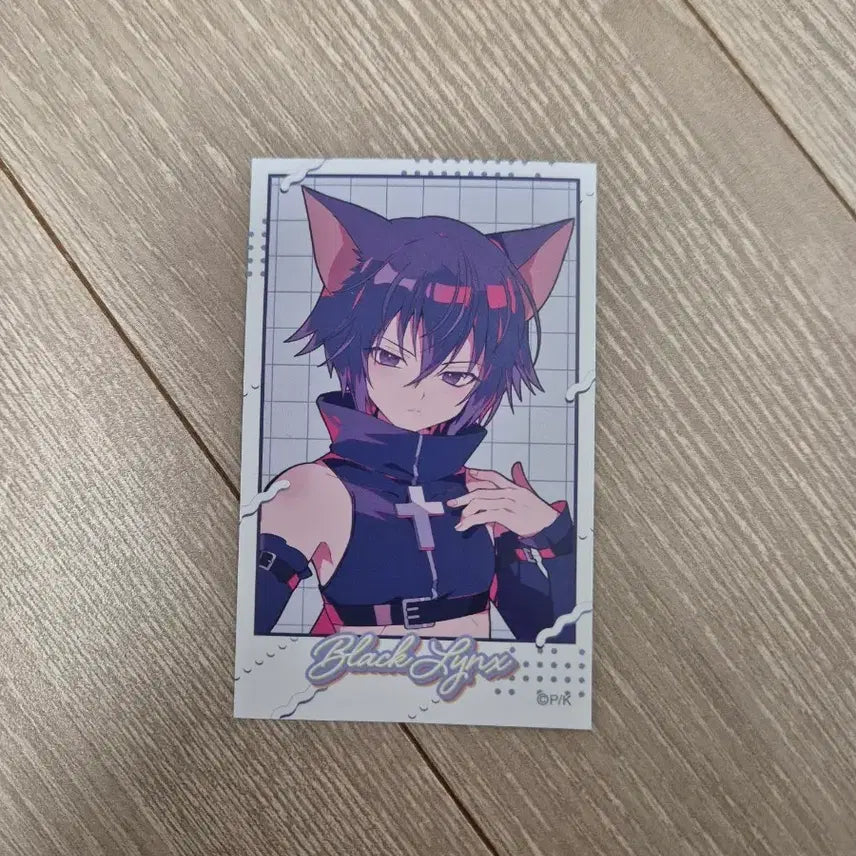 [BUNJANG] Character Change Toma Photocard / 캐릭캐릭체인지 캐캐체 토마 종이 포토카드 포카