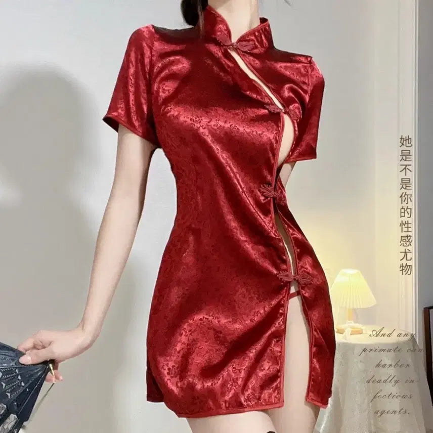 [BUNJANG] Sexy Cheongsam Costume / 섹시 치파오