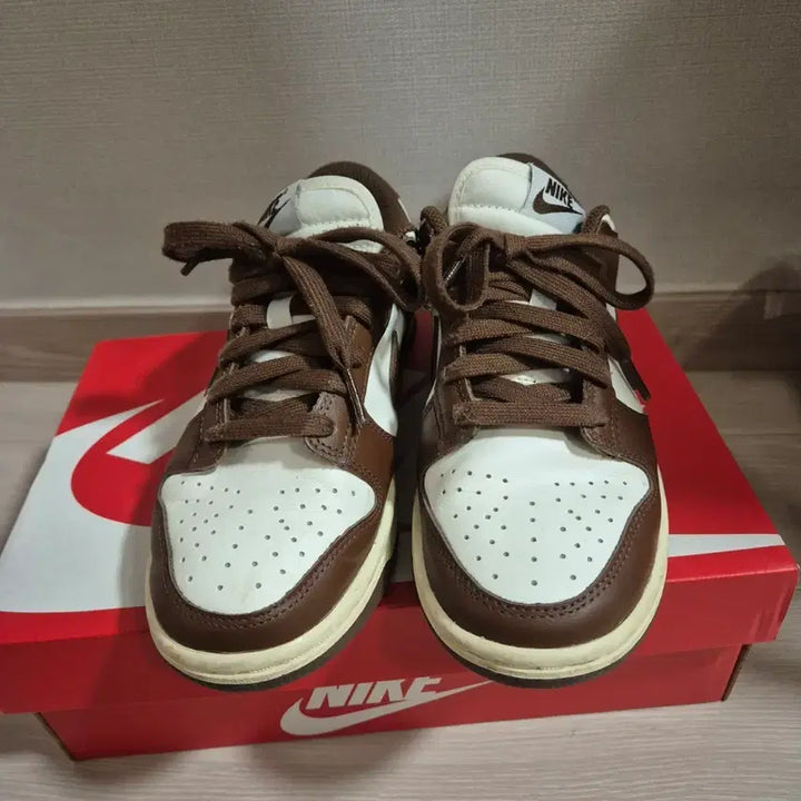 [BUNJANG] Nike Dunk Low Brown Sneakers / 나이키 덩크 로우 브라운 225