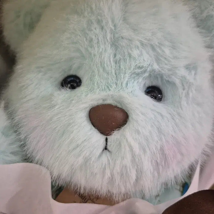 [BUNJANG] Teddy Tales Sleepy Head M Plush / 테디테일즈 슬리피헤드M