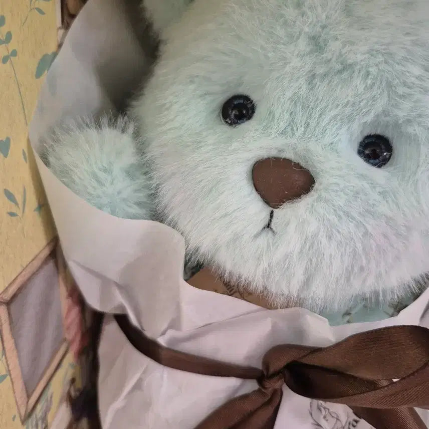 [BUNJANG] Teddy Tales Sleepy Head M Plush / 테디테일즈 슬리피헤드M