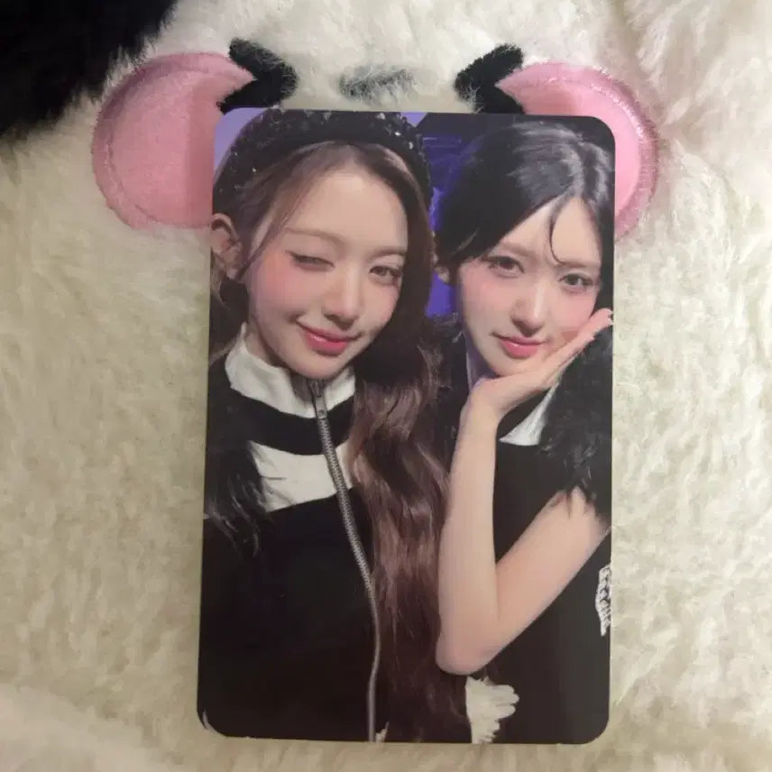 [BUNJANG] IVE Fan-Con 2nd Day Unit Photocard / 아이브 팬콘 2일차 막콘 단장즈 반려즈 유닛 다이브존