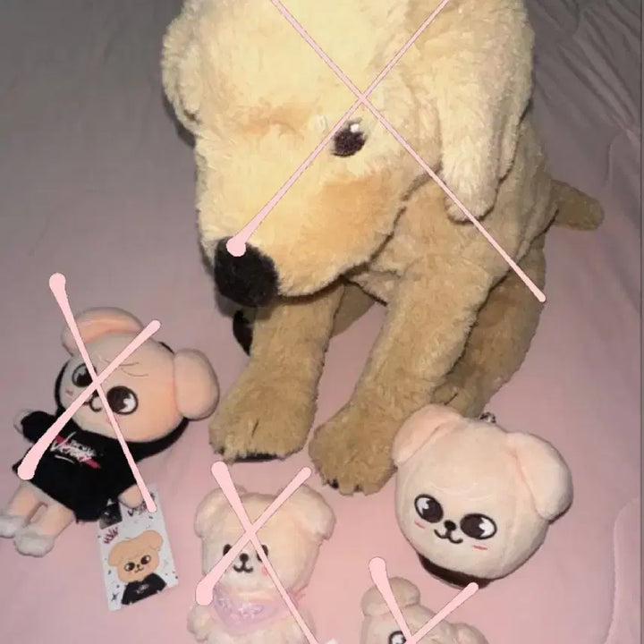 [BUNJANG] SKZ Seungmin Plushie / 스키주 퍼핌 스키즈 승민