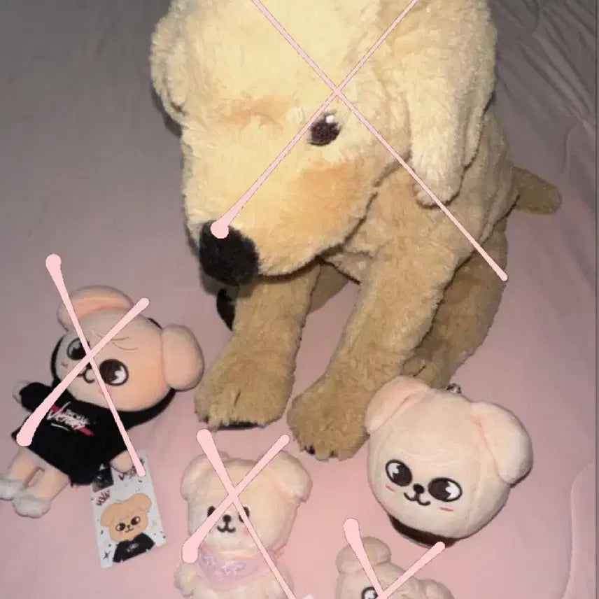 [BUNJANG] SKZ Seungmin Plushie / 스키주 퍼핌 스키즈 승민
