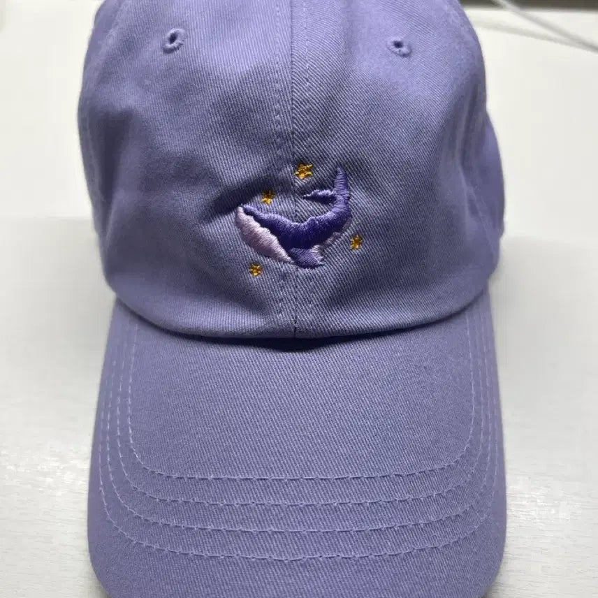[BUNJANG] BTS 10th Anniversary Festa Ball Cap / BTS 10주년 페스타 볼캡 방탄소년단