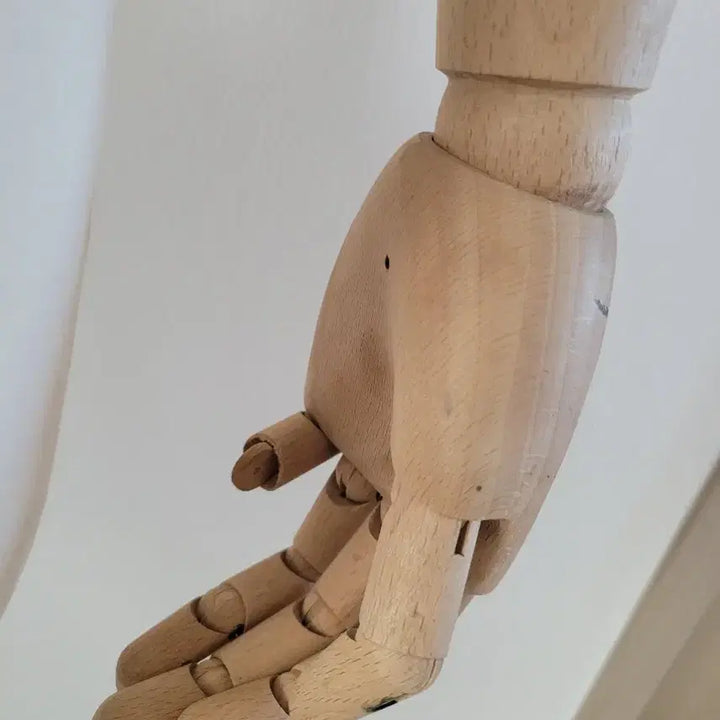 [BUNJANG] Pinocchio Torso Mannequin / 토르소 마네킨 피노키오