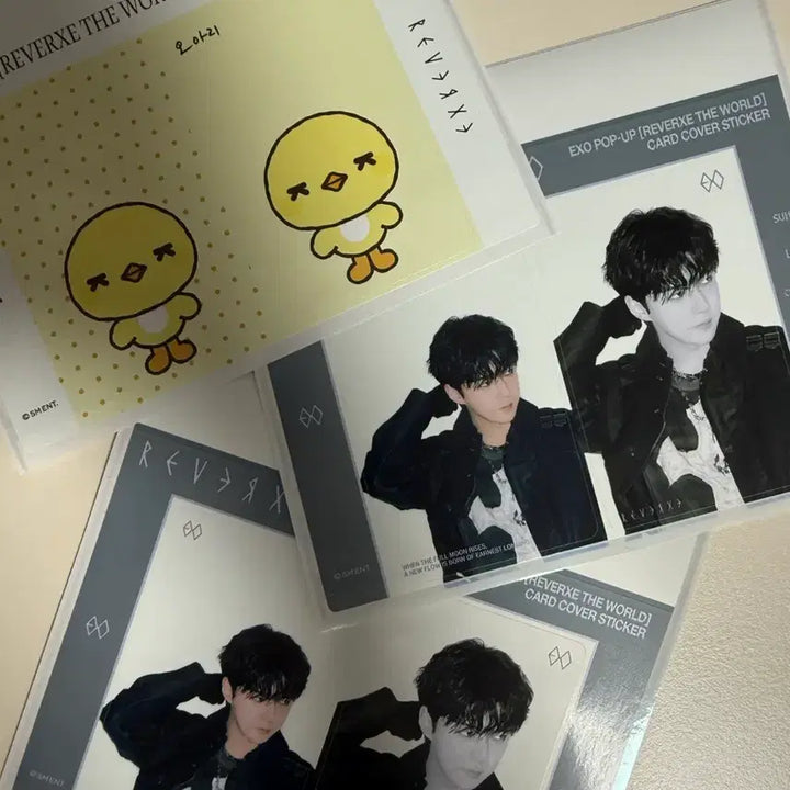 [SOLD OUT] 세훈 카드 커버 스티커 일괄 판매