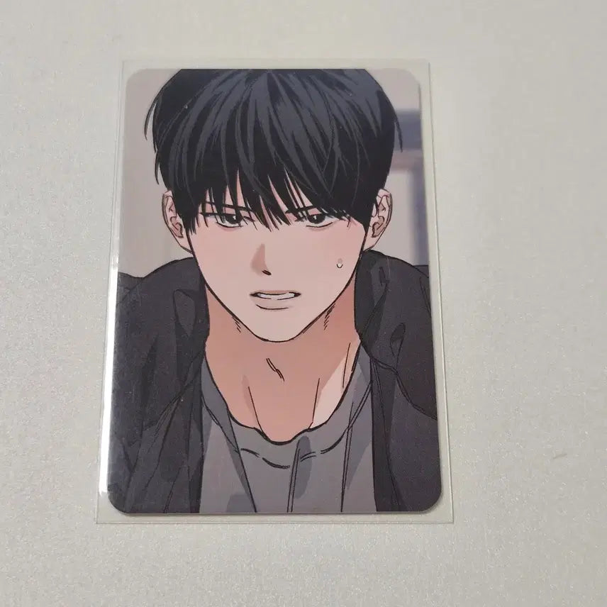 [BUNJANG] Stage Behind SVT Behind Collection Photocard / 스테이지비하인드 스비하 스테비 컬포 포카