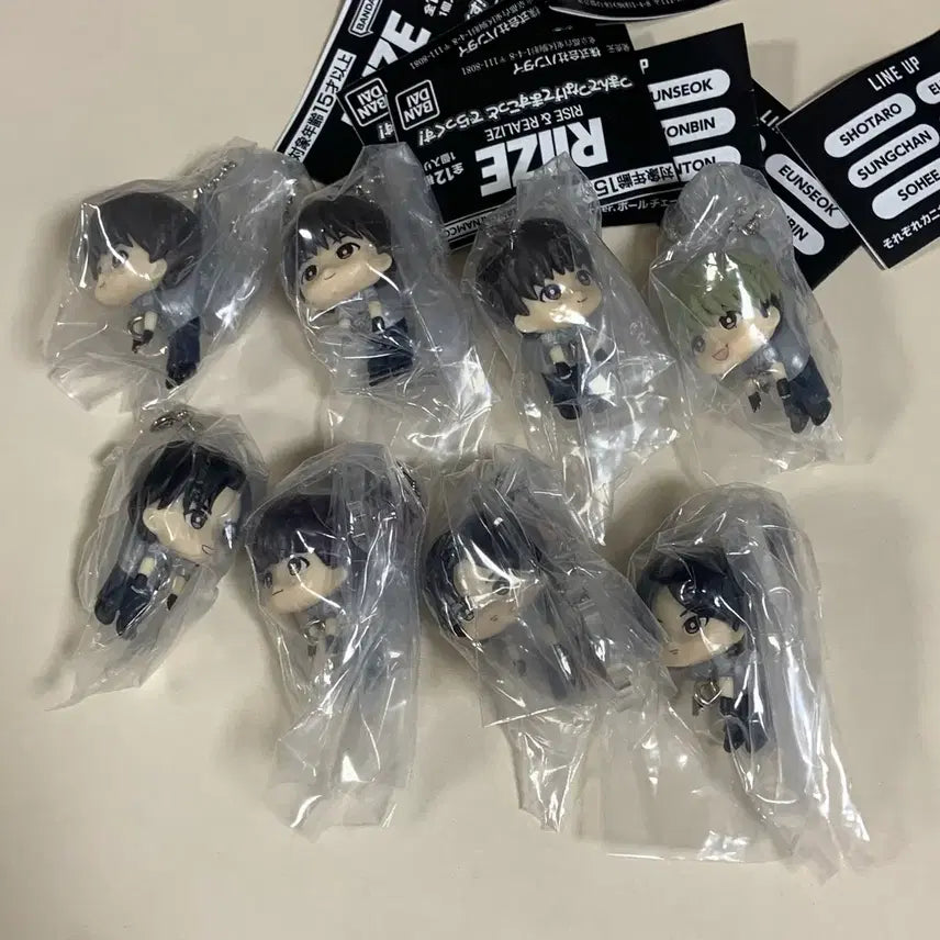 [BUNJANG] RIIZE Anton Gachapon Keyring / 라이즈 앤톤 대롱대롱 연결 가챠 키링