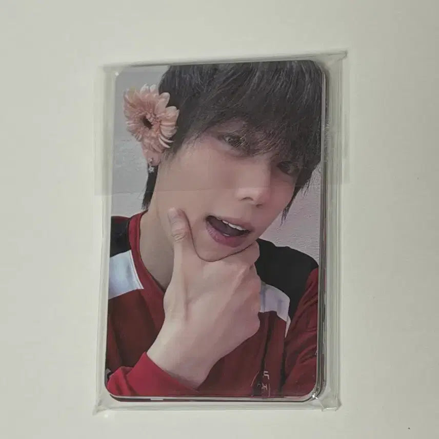 [BUNJANG] Home Race Modisey Photocard / 홈레이스 밋앤그릿 입장 포카 모디세이