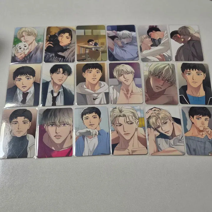 [BUNJANG] Backlight Collection Photocard Full Set / [18종 풀셋] 백라이트 컬포 포카 드볼 올클 세트
