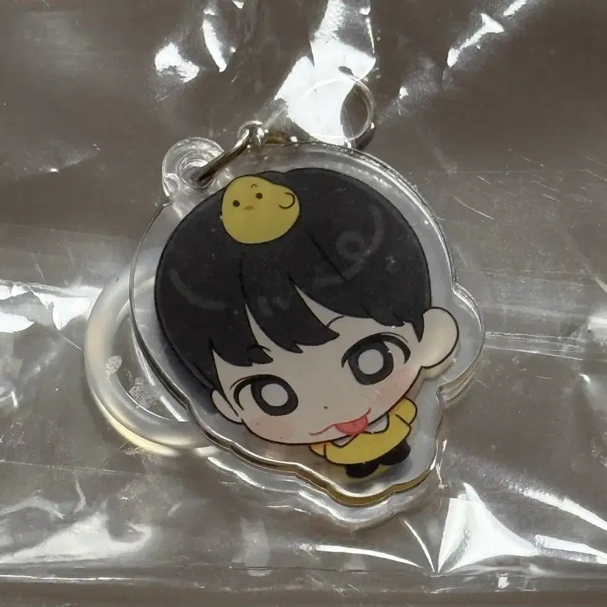 [BUNJANG] RIIZE Anton Birthday Cafe Lucky Draw Gacha Mejirushi Keyring / 라이즈 앤톤 생카 럭드 가챠 메지루시 키링 양도