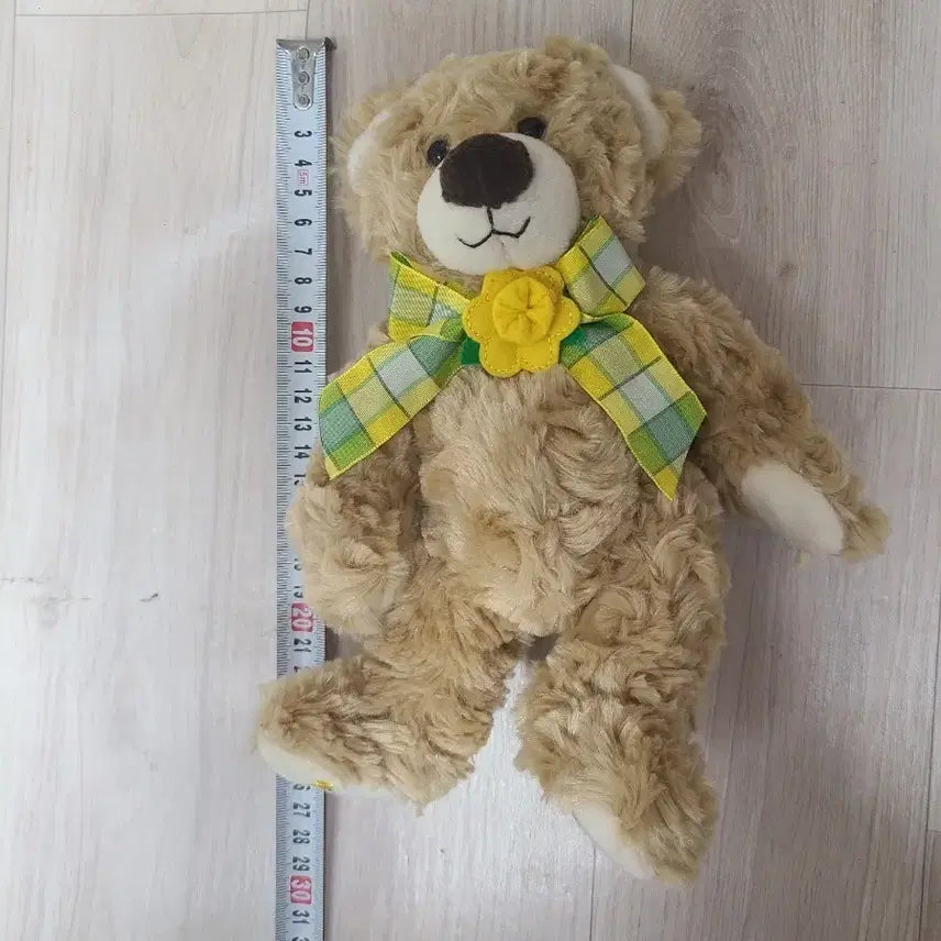 [SOLD OUT] 보이즈베어(American bear) 팝니다.